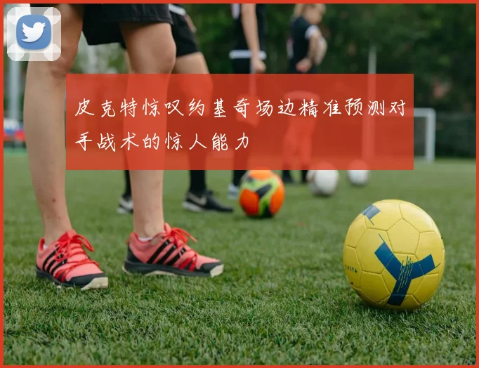 皮克特惊叹约基奇场边精准预测对手战术的惊人能力