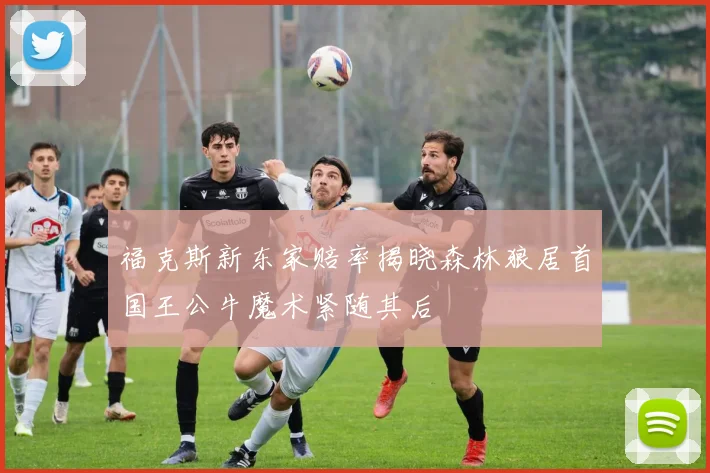 福克斯新东家赔率揭晓森林狼居首国王公牛魔术紧随其后