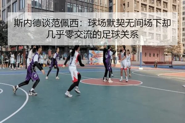 斯内德谈范佩西：球场默契无间场下却几乎零交流的足球关系